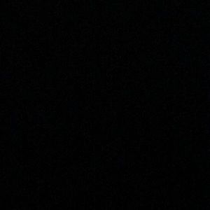 Meet your Posher, Jaden